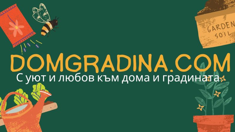Светът, който забравихме да обичаме: Завръщане към простите радости в епоха на постоянен шум