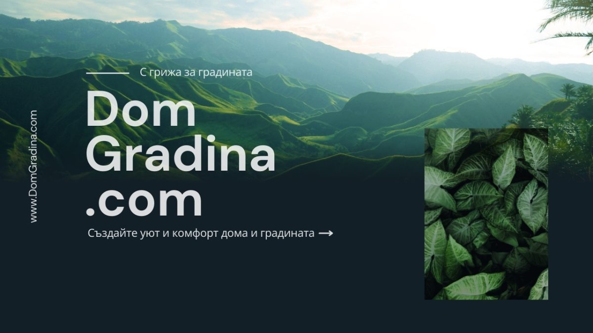 Тайните на красивата Градина: Как Да Създадем Зелен Оазис с Минимални Усилия и Максимална Удоволствие